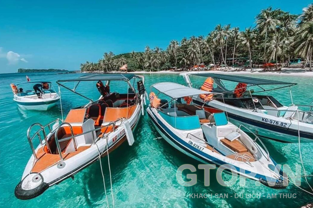 Cano vs Tàu Gỗ: Lựa Chọn Phù Hợp Với Nhu Cầu Du Lịch Của Bạn
