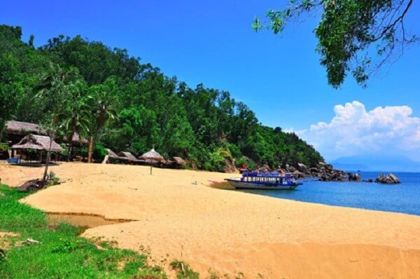 Địa điểm cắm trại ở Đà Nẵng đẹp lịm tim dành cho du khách