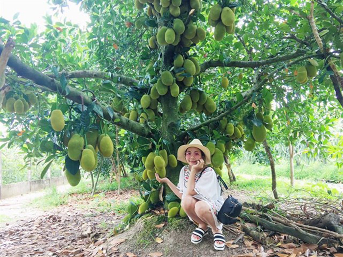 Bật mí 5 vườn trái cây Tiền Giang - Điểm du lịch sinh thái