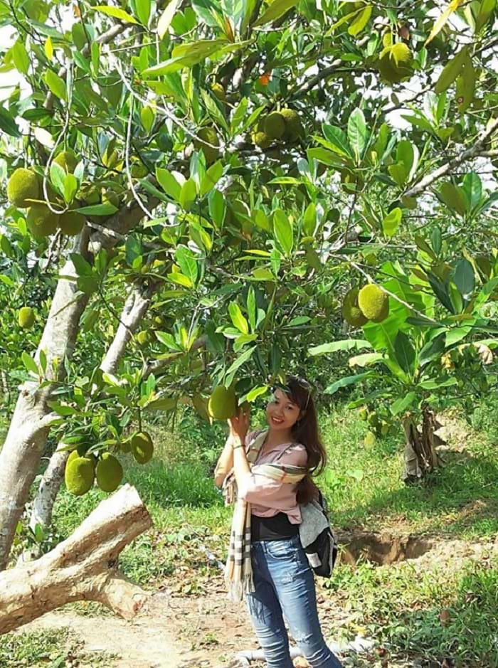 Bật mí 5 vườn trái cây Tiền Giang - Du lịch Tiền Giang