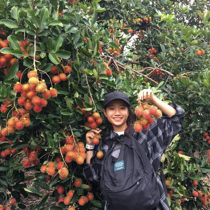 Bật mí 5 vườn trái cây Tiền Giang - Điểm sống ảo yêu thích