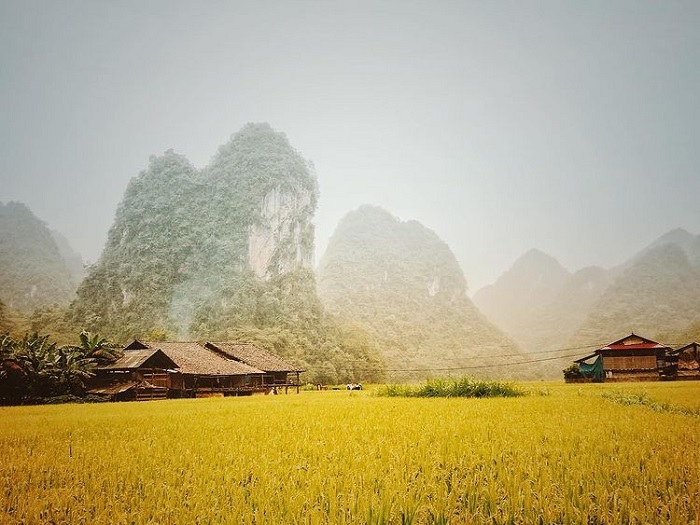 khung cảnh thiên nhiên của làng hương Phia Thắp ở Cao Bằng