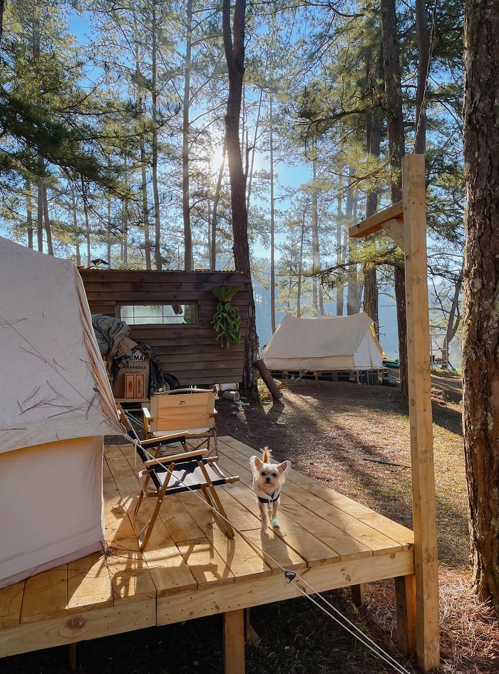 khu cắm trại giữa rừng Đà Lạt