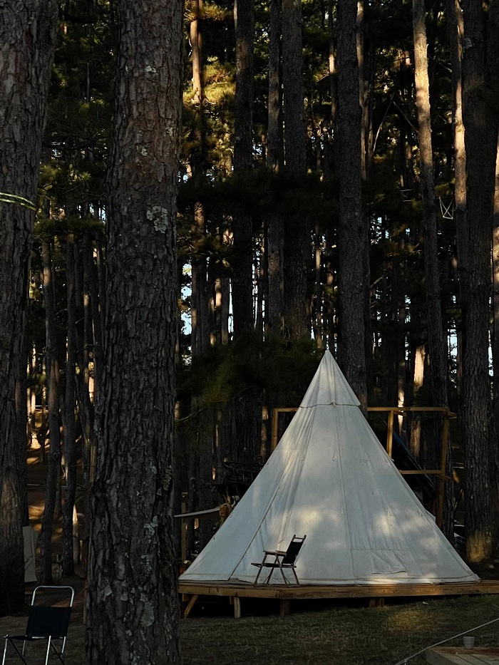 khu cắm trại giữa rừng Đà Lạt