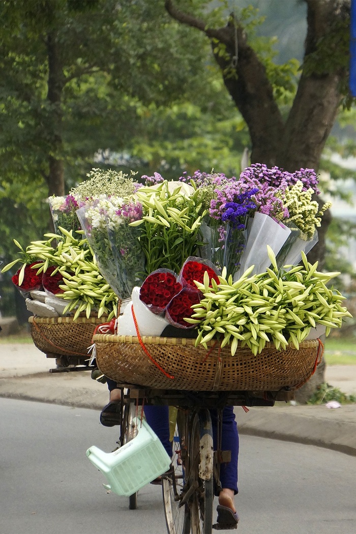 Cảm nhận mùa thu Hà Nội qua những chiếc xe đạp chở đầy hoa giữa lòng thành phố