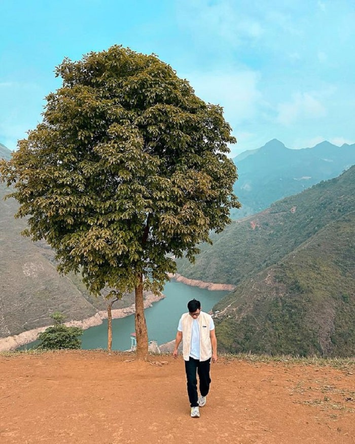Ngoài cây cô đơn hồ Tây Việt Nam còn có cây cô đơn ở Tà Xùa