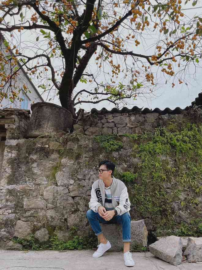 Cây hồng trăm tuổi ở Ninh Bình nhìn như bối cảnh Hàn Quốc thu hút giới trẻ check in - 13