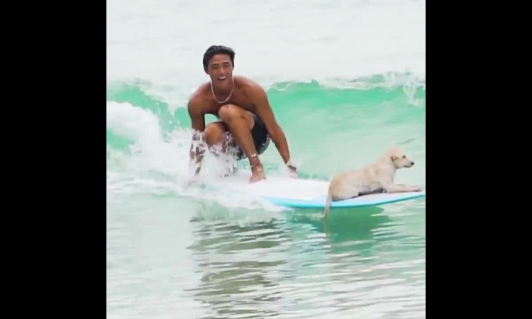 Chàng trai dựng 'chòi' dạy lướt sóng ở Nha Trang