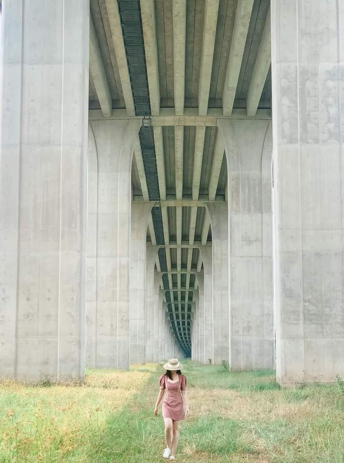 Check-in ‘7749 bức ảnh’ tại cây cầu Vàm Cống Đồng Tháp ấn tượng bậc nhất miền Tây
