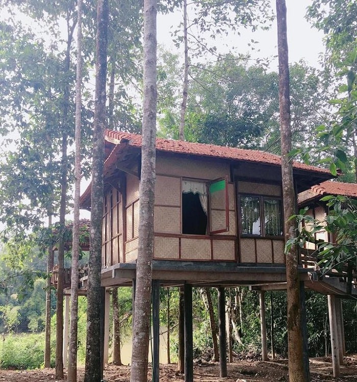 Paradise on the Tree - homestay ở Đồng Nai hút khách rần rần