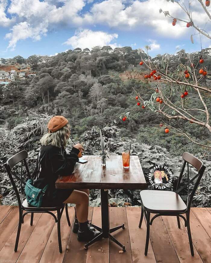 Chiêm ngưỡng mùa hồng chín ở Đà Lạt tại quán cà phê In The Forest tọa lạc giữa núi rừng an yên