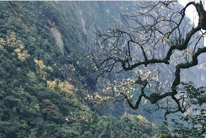 Vẻ đẹp của núi rừng Tây Bắc - Chinh phục Nam Kang Ho Tao