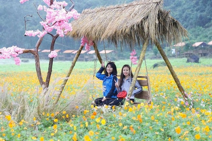 địa điểm chụp ảnh đẹp ở Lạng Sơn - thung lũng hoa Bắc Sơn 