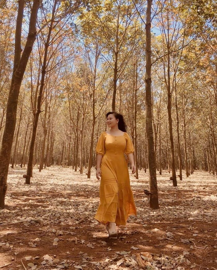 mùa thay lá - thời điểm nên ghé thăm rừng cao su ở Đắk Lắk 