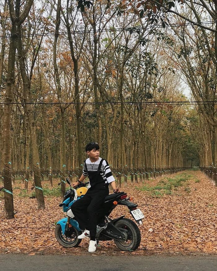xe máy - phương tiện đến rừng cao su ở Tây Ninh 