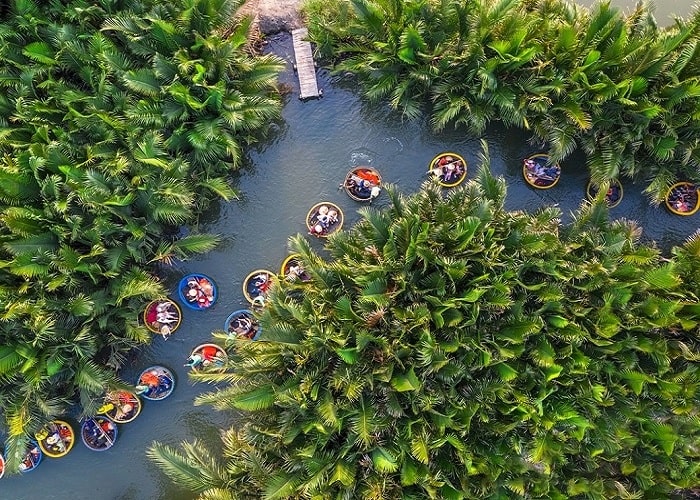 chia thành từng ô - điểm độc đáo của rừng dừa nước ở Quảng Ngãi 