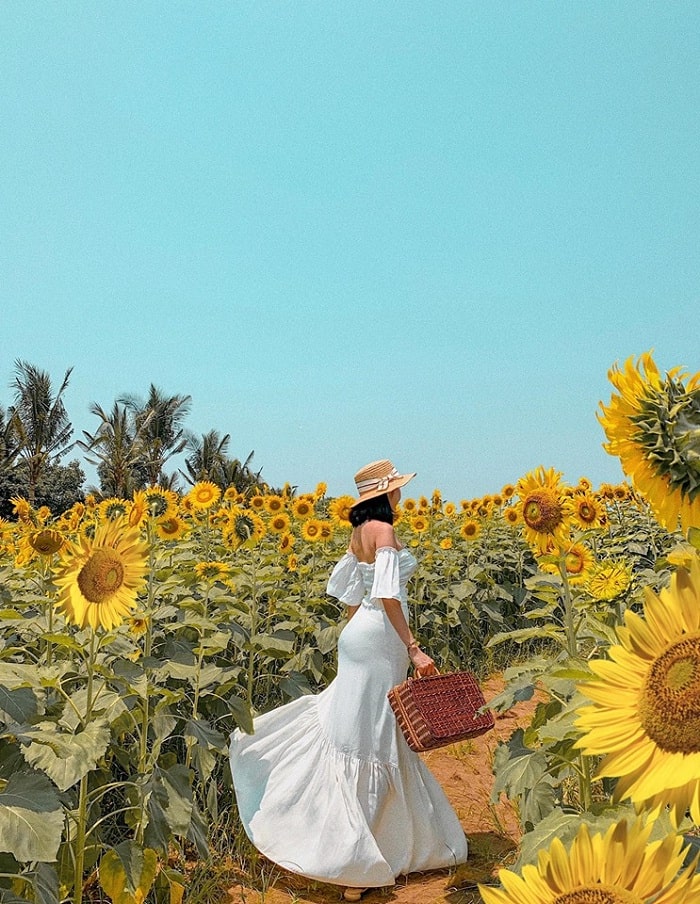 trang phục vintage - bí kíp chụp đẹp với Đồi Hoa Mặt Trời ở Đồng Nai
