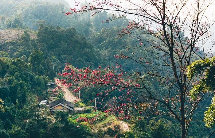 Thời điểm du lịch Lạng Sơn đẹp nhất - mùa xuân