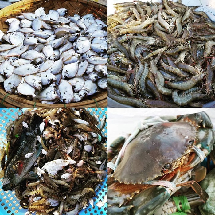 Khám phá đầm Chuồn Huế - Đầm có nhiều món ăn hải sản
