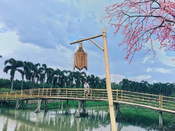 du lịch Trảng Bàng Tây Ninh - công viên hoa Thủy Tiên
