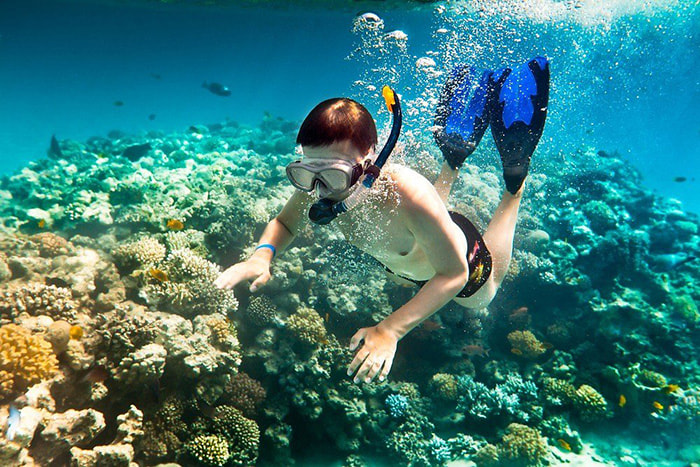 du lịch Côn Đảo tháng 4 - trải nghiệm lặn ngắm san hô