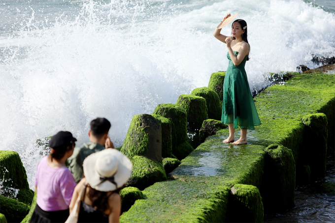 Bãi rêu xanh mướt ở Nha Trang đang hút khách đến tham quan, chụp ảnh: Ảnh: Xuân Ngọc.