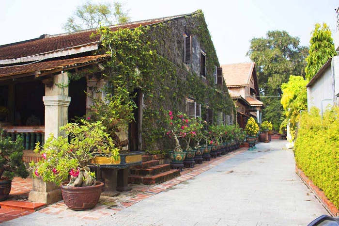 tường rêu phong - góc sống ảo tại ngôi nhà cổ trên 120 tuổi ở Tây Ninh