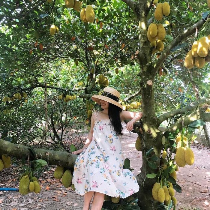 du lịch biển Cửa Việt - kết hợp vườn trái cây
