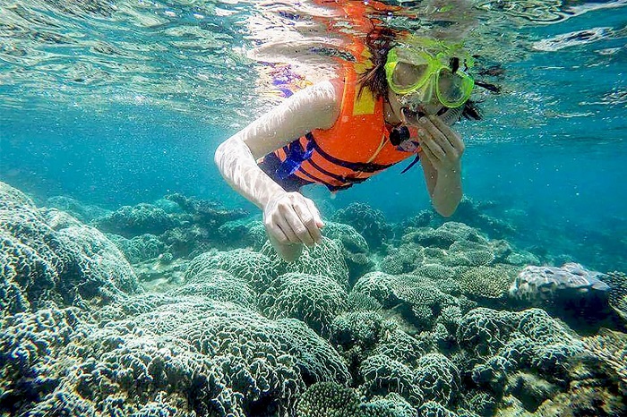 lặn biển ngắm san hô  khi du lịch đảo Hòn Khô Quy Nhơn