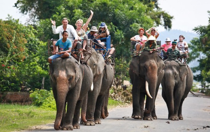 kinh nghiệm du lịch hồ Lắk - cưỡi voi