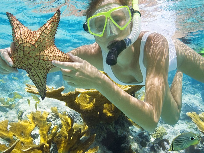 Du lịch Phú Quốc mùa nào đẹp nhất? - lặn biển ngắm san hô
