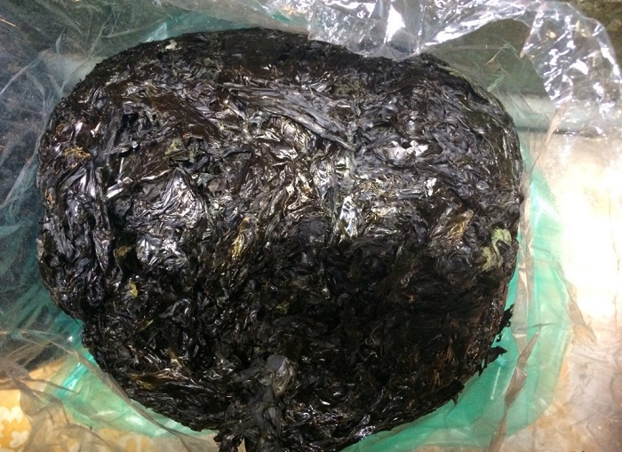 Quy Nhon travel experience - enjoy dried seaweed