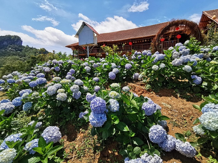 Nông trại Kolia Organic Farm Cao Bằng 