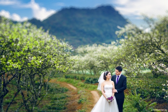 những địa điểm chụp ảnh cưới đẹp tại Mộc Châu