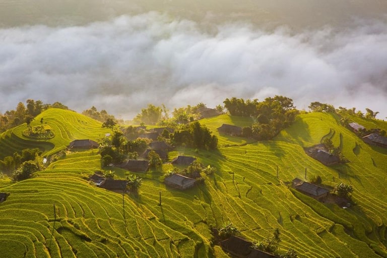 Địa điểm ngắm lúa chín tại Hà Giang được nhiều người lựa chọn