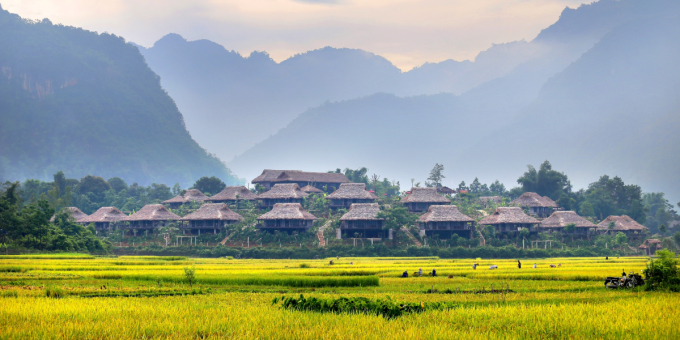Các địa phương như Quảng Ninh, Vĩnh Phúc đang mở lại hoạt động du lịch nổi tỉnh, khi một số khu nghỉ dưỡng ở Sa Pa (Lào Cai) và Hòa Bình đang mở đón khách ngoại tỉnh có kết quả xét nghiệm âm tính SAR-CoV-2.