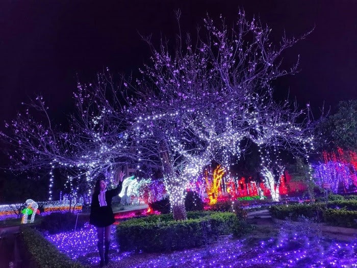 cây trang trí tại công viên ánh sáng Pha Luông
