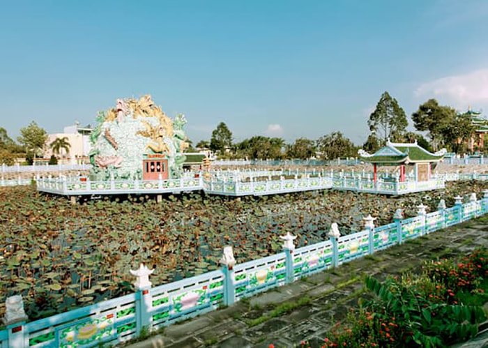 Viếng chùa Huỳnh Đạo An Giang - Khu vực hồ sen