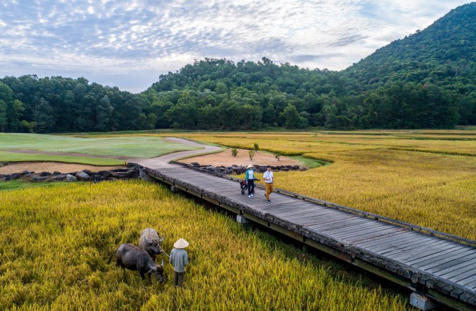 Đường dẫn ra sân golf với cánh đồng lúa bao quanh giúp tạo cảnh quan gần gũi thiên nhiên, vừa giúp đem lại công việc và thu nhập cho cộng đồng địa phương. Ảnh: LLC.