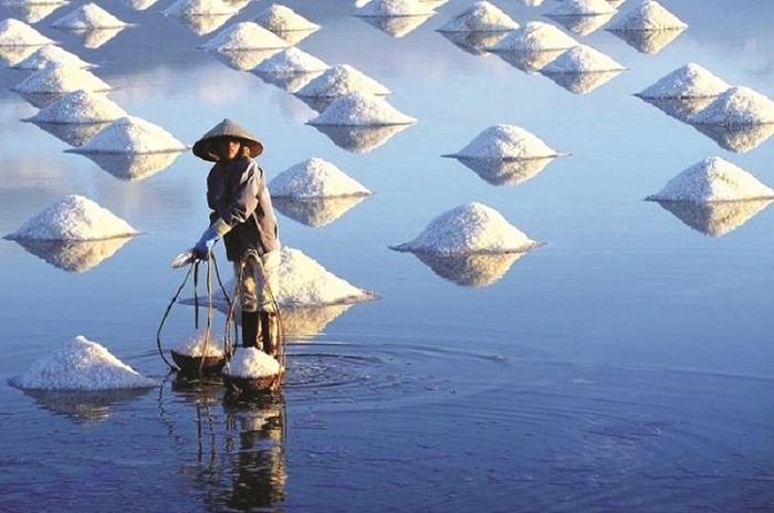 Cánh đồng muối Phương Cựu đã trở thành địa điểm du lịch mới lạ của Ninh Thuận