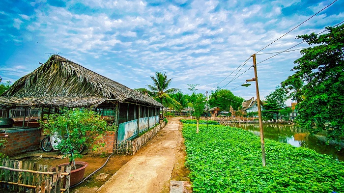 Kinh nghiệm đi 5Ku Farm Sài Gòn - khung cảnh đẹp
