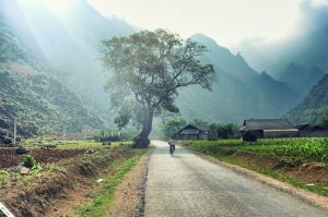 Kinh nghiệm du lịch Hà Giang: lịch trình, chi phí, địa điểm