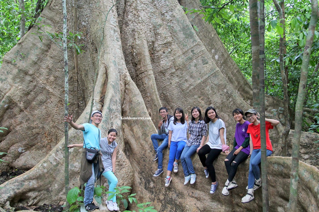 Kinh nghiệm du lịch và tham quan vườn quốc gia Cát Tiên, Đồng Nai