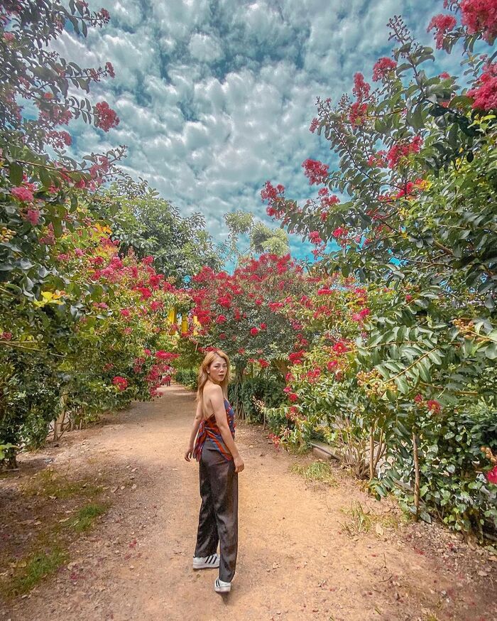 Lạc bước vào khu rừng nhỏ bên lề Hà Nội tại tọa độ Công viên thực vật cảnh Việt Nam ‘cực thơ’