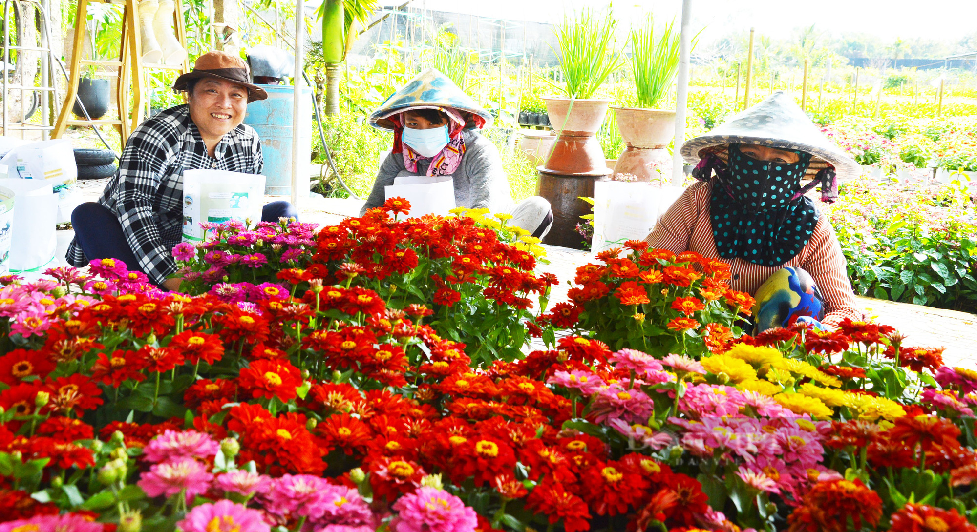 Làng hoa lớn nhất miền Tây thu hút hàng ngàn du khách tham quan - Ảnh 6.