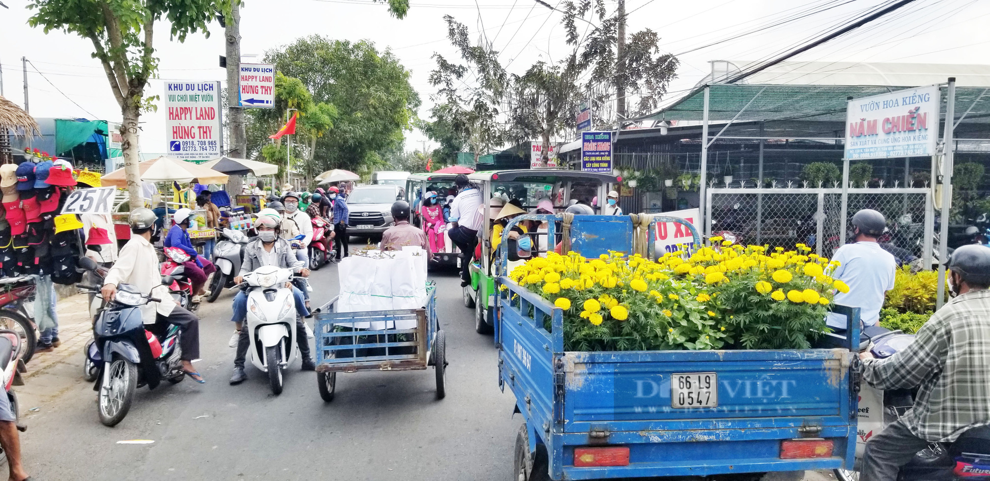 Làng hoa lớn nhất miền Tây thu hút hàng ngàn du khách tham quan - Ảnh 8.