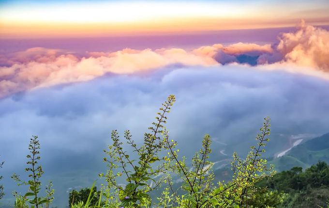 Biển mây bồng bềnh trên đỉnh Mẫu Sơn