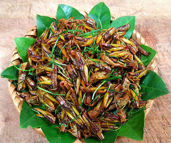 Đặc sản Yên Bái: Loại côn trùng chỉ có sau mùa gặt nhưng lại là món đặc sản thu hút du khách - Ảnh 2.