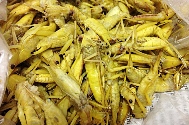 Đặc sản Yên Bái: Loại côn trùng chỉ có sau mùa gặt nhưng lại là món đặc sản thu hút du khách - Ảnh 3.