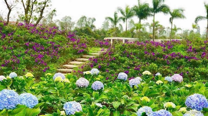 Khám phá công viên hoa hồng Rose park ở Long Biên